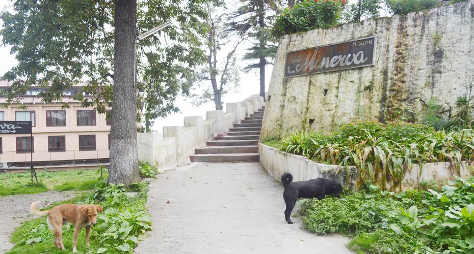 Hotel Minerva, Mussoorie 4